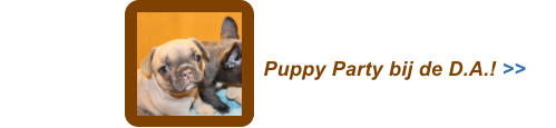 Puppy Party bij de D.A.! >> >>