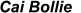 Cai Bollie