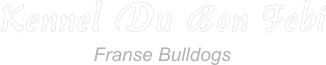 Franse Bulldogs Kennel Du Bon Febi