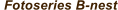 Fotoseries B-nest