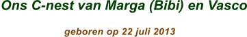 Ons C-nest van Marga (Bibi) en Vasco                        geboren op 22 juli 2013