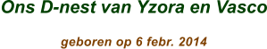 Ons D-nest van Yzora en Vasco                  geboren op 6 febr. 2014