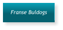 Franse Buldogs