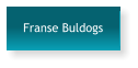 Franse Buldogs