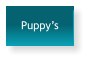 Puppys