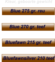 Blue-brindled 290 reu  Bont zw. wit 225 teef Bluefawnsilver 210 teef Bontgestr. 245 reu Blue-fawn 290 gr. teef Bluefawn 215 gr. teef     Kleur, geboorte gewicht Bontgestr. 245 reu   Blue 270 gr. teef Blue 275 gr. reu