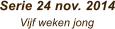 Serie 24 nov. 2014       Vijf weken jong