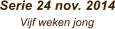 Serie 24 nov. 2014       Vijf weken jong