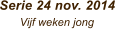 Serie 24 nov. 2014       Vijf weken jong