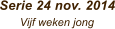 Serie 24 nov. 2014       Vijf weken jong